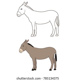  isolated donkey drawing