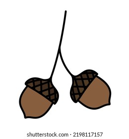 isolated doodle acorn. Hand drawn vector illustration of autumn acorn clip art