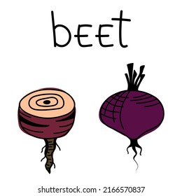  Isolated doodle beets. Vector icons, hand-drawn beetroot vegetable stickers. Summer harvest illustration.
