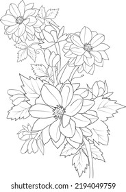  isolated, Doodle floral in black and white. Page for coloring book, interesting and relaxing art for children and adults. Zentangle drawing. dahlia Flower branch vector illustration.