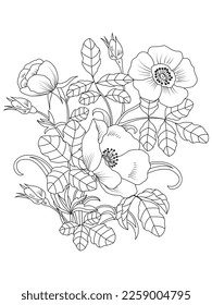 isolated, Doodle floral in black and white. Page for coloring book, interesting and relaxing art for children and adults.