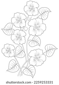 isolated, Doodle floral in black and white. Page for coloring book, interesting and relaxing art for children and adults.