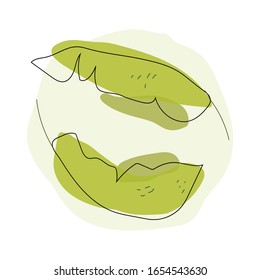 Hojas de doodle aisladas en el diseño de dibujo manual de fondo blanco vectorial 