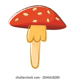 Isolated doodle vector illustration of mottled forest fly agaric mushroom.