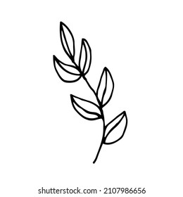 Isolated doodle vector sketch of branch isolated on white background.