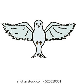 Isolated dove design