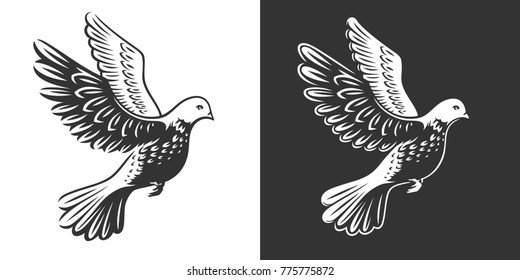 Isolated dove (pigeon) in flight - logo, emblem, illustration design on a black and white background.