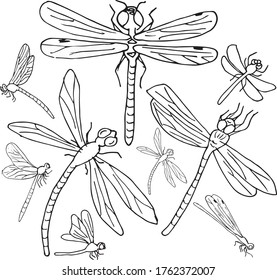 Isolated DRAGONFLIES, hand drawn, black and white, Vector EPS 10. Use for print on dishes, greeting card, invitations, textiles, wedding, books, wallpaper, fabric, wrappers, decor, card, illustration.