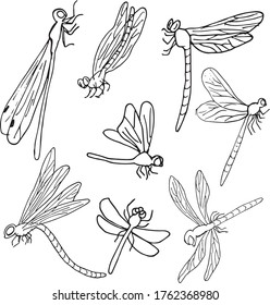 Isolated DRAGONFLIES on white, black and white. Vector EPS 10. Use for print on dishes, textiles, books, wallpaper, fabric, wrappers, greeting card, decor, illustrstion, postcard.