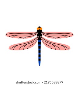Isolated dragonfly Summer insect Animal Vector