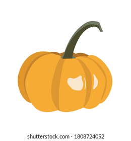 Isolated drawing of pumpkin fruit