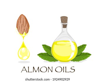 Isolated a drop of almond oils from almond seed and glass bottle with leaves decoration. Close up hand drawing natural ingredients vector illustration.  