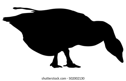 Isolated Duck Or Goose Silhouette