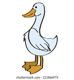 an isolated duck on a white background