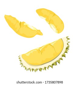 Isolated durian king of fruit on white background.