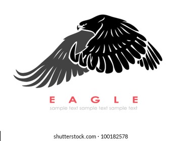 Isolated eagle