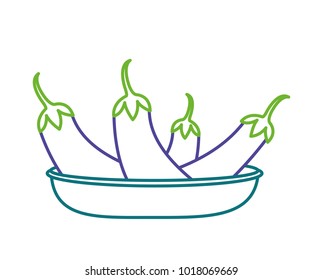 Isolated eggplant design