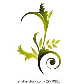 isolated elegant foliage