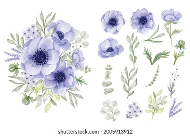 isolated elegant purple anemone flower leaves collection