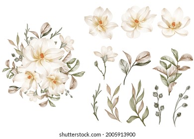 isolated elegant white magnolia flower leaves collection