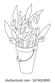 Isolated element of a bouquet of tulips in a bucket on a white background. Vector illustration for the design of greeting cards, banners, print on fabric, paper, etc.