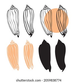isolated element four options shell sea high twisted striped hand sketch ink silhouette, logo, openwork, symbol vector