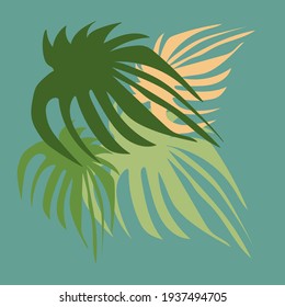 isolated element green exotic leaves jungle vector