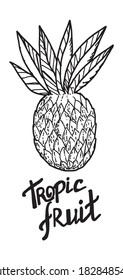 Isolated element on a white background. Large pineapple with voluminous foliage. The inscription is made by hand. Tropical fruit. Realistic pineapple. Doodle. Suitable for vegan menus, posters.