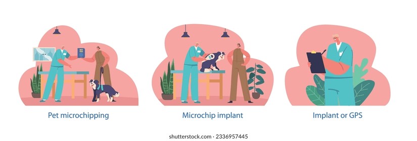 Isolated Elements With Animal Chipping Process Where A Small Microchip Is Implanted Under The Skin Of An Animal