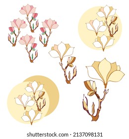 isolated elements branch blooming magnolia symbol silhouette hand drawn golden vector