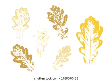 Isolated elements for decorative floral design, vintage background. Autumn foliage, vector colored illustration. Set with stamp leaves. Vector illustration.