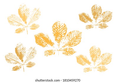 Isolated elements for decorative floral design, vintage background. Natural ink imprint of autumn leaf with streaks and texture. Isolated objects on white background. Vector illustration.