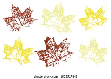 Isolated elements for decorative floral design, vintage background. Autumn foliage, vector colored illustration. Set with stamp leaves. Vector illustration.