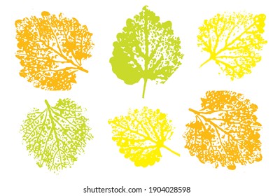 Isolated elements for decorative floral design, vintage background. Natural ink imprint of autumn leaf with streaks and texture. Overlay template. Vector illustration.