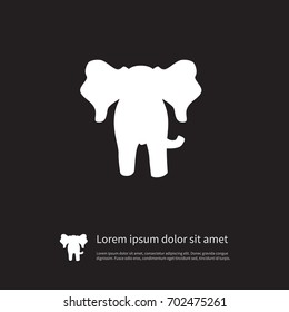 Isolated Elephant Icon. Proboscis Vector Element Can Be Used For Elephant, Trunked, Proboscis Design Concept.