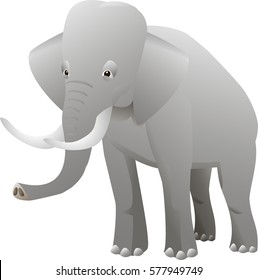 Isolated elephant on white background. Vector illustration.