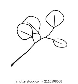 Isolated eucalyptus branch on white background. Contour drawing by hand. Doodle Style