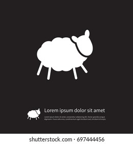 Isolated Ewe Icon. Sheep Vector Element Can Be Used For Sheep, Lamb, Ewe Design Concept.