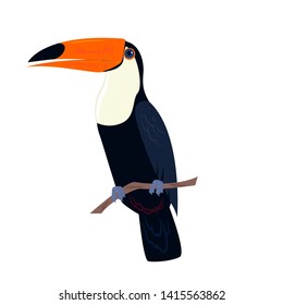 An isolated exotic bird.Toucan, a bird from hot southern countries, cartoon style.

