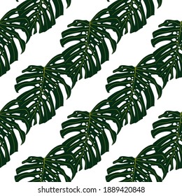 Patrón exótico aislado sin fisuras con hojas de monstera verdes. Fondo blanco con adorno botánico. Excelente para papel de pared, textil, papel envolvente, impresión de tela. Ilustración vectorial.