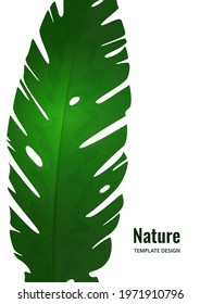 Isolated exotic tropical leaf on a white background. Template for your design. Vector illustration