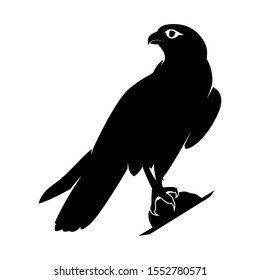 Isolated Falcon Bird Vector. Silhouette Eagle on White Background. Hawk Cutout