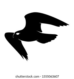 isolated falcon bird vector. silhouette eagle on white background. hawk cutout