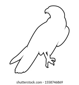 isolated falcon bird vector. silhouette eagle on white background. hawk cutout