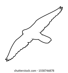 isolated falcon bird vector. silhouette eagle on white background. hawk cutout
