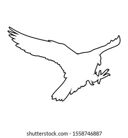 isolated falcon bird vector. silhouette eagle on white background. hawk cutout