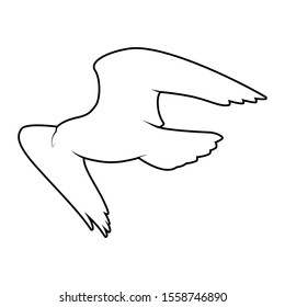 isolated falcon bird vector. silhouette eagle on white background. hawk cutout