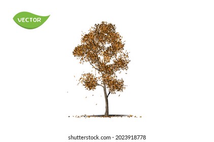 Isolated fall leaves tree on white background. Single tropical tree in vector illustrative. Concept for landscaped decoration of tree in garden and architectural design in autumn