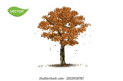 La caída aislada deja un árbol sobre fondo blanco. Un solo árbol tropical en un vector ilustrativo. Concepto de decoración paisajística de árboles en el jardín y diseño arquitectónico en otoño