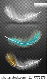 Isolated falling fluffy twirled feathers on transparent background in realistic style. Vector Illustration